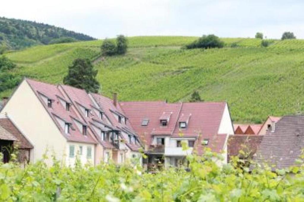 Vue Sur Vignes Apartment Риквир Екстериор снимка