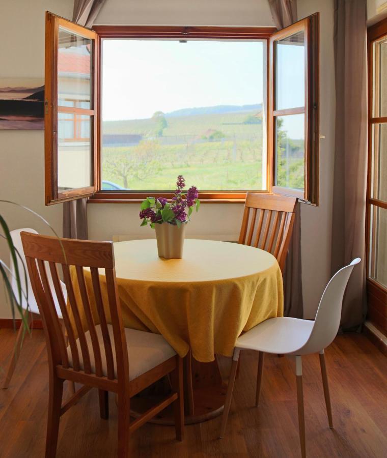 Vue Sur Vignes Apartment Риквир Екстериор снимка